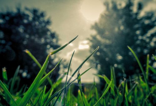 Aut mollitia tempore tenetur unde consequatur exercitationem